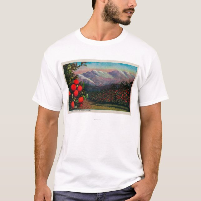 Foothill Orange Grove in the WinterState T-Shirt (Front)