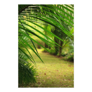 Footpath Photo Print