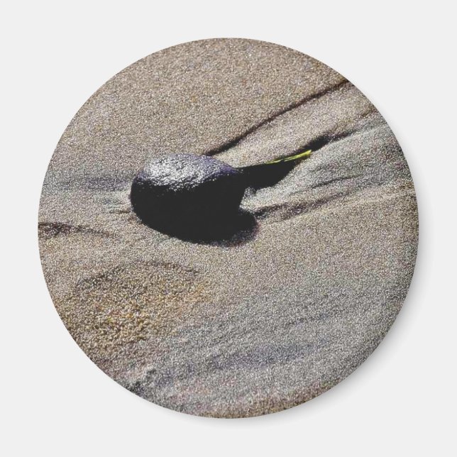 Footprint At Ocean Beach Magnet (Front)