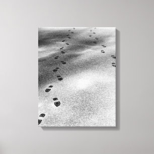 Footprints in Snow Canvas Print