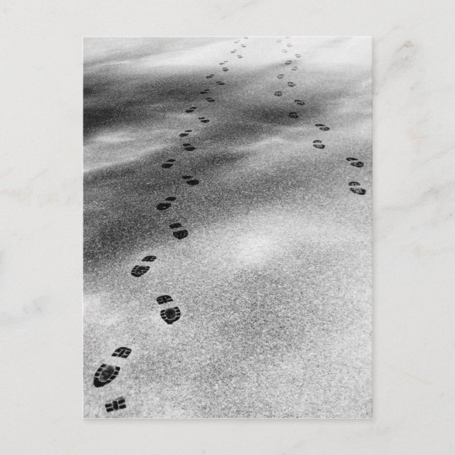 Footprints in Snow Postcard (Front)