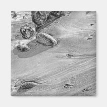 Footprints in the Sand