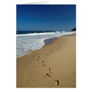Footprints On Beach, Mabibi, Thongaland