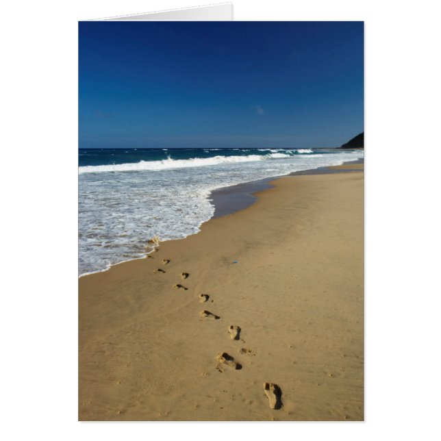 Footprints On Beach, Mabibi, Thongaland (Front)