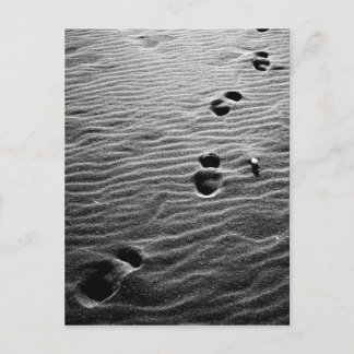 Footprints on the sand postcard