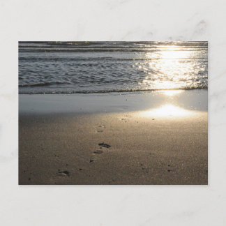Footprints on the sandy beach postcard