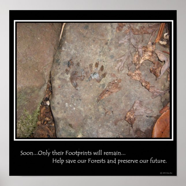 Footprints Remain Poster (Front)