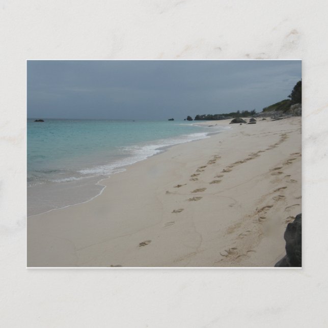 Footsteps in Bermuda Sand Postcard (Front)