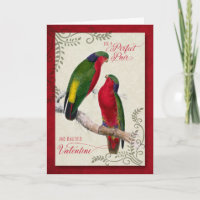 For a Couple on Valentine's Day Lorikeet Parrots