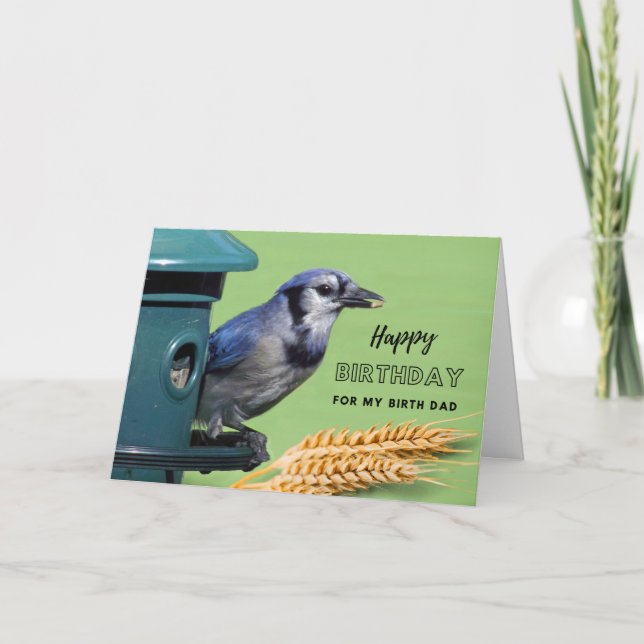For Birth Dad Birthday with Blue Jay at Feeder Card (Front)