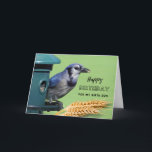 For Birth Son Birthday with Blue Jay at Feeder Card<br><div class="desc">Happy Birthday for a birth son. A Blue Jay at a bird feeder along with heads of wheat are featured on this bird themed birthday greeting card. Great card for the bird lover in your life. Art,  image,  and verse copyright © Shoaff Ballanger Studios,  2023.</div>