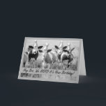 For Brother Birthday with Funny Cows Card<br><div class="desc">Black and white photo of cattle wearing party hats is featured on the cover on this birthday card for a brother. Art,  image,  and verse copyright © Shoaff Ballanger Studios,  2023.</div>