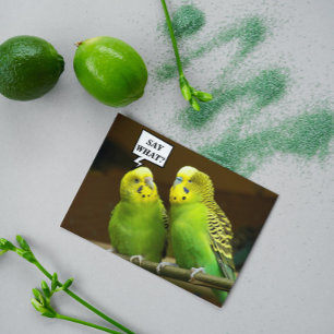 For Brother Green Parakeets Photo Birthday Card