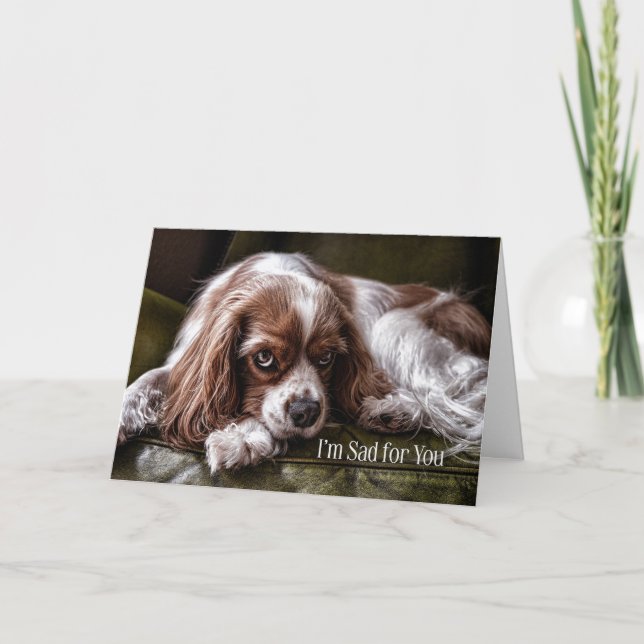 For Children Sympathy Sad Cocker Spaniel Card (Front)