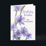 For Granddaughter Birthday Chicory Flowers Card<br><div class="desc">Happy Birthday Wishes,  paper greeting card for a granddaughter. Card features a floral photograph of chicory flowers in shades of light purple. Poem inside. Personalise the interior verse as desired. Art,  image,  and verse copyright © Shoaff Ballanger Studios,  2023.</div>