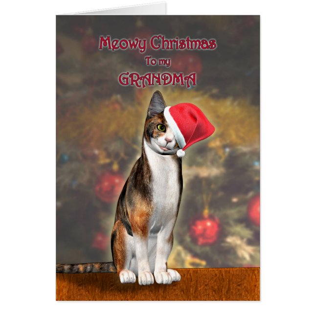 For Grandma, a funny cat in a Christmas hat (Front)