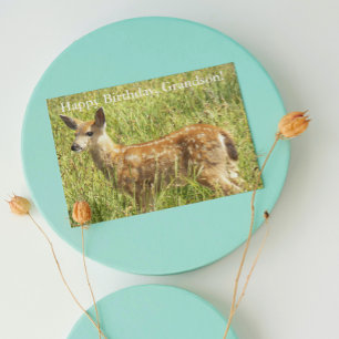 For Grandson Deer Fawn Wildlife Birthday Card
