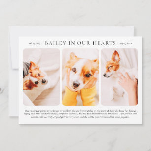 For Her Pet Name in our Hearts Modern Simple Photo Invitation