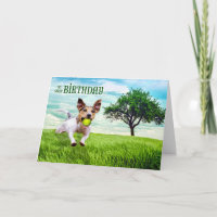 for Him on His Birthday Jack Russel Terrier Dog