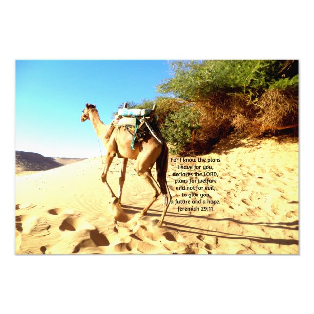 For I know the plans I have ....  Jeremiah 29:11 Photo Print (Front)