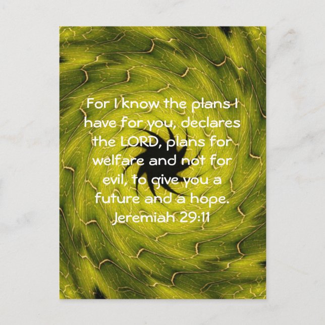 For I know the plans I have ....  Jeremiah 29:11 Postcard (Front)