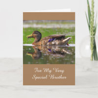 For My Brother Mallard Birthday