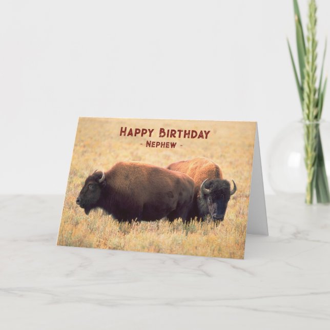 For Nephew Birthday with a Pair of Bison Card (Front)