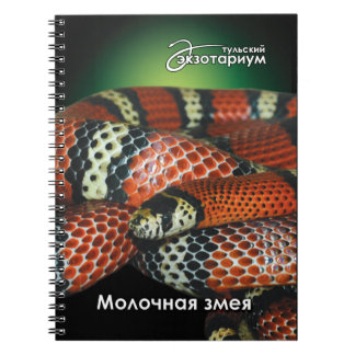 For reptile lovers milk snake notebook