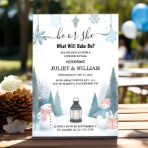 For Rustic Snow Cold Ice Cosy Winter Gender Reveal