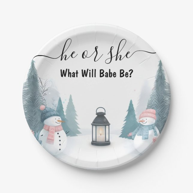 For Rustic Snow Cold Ice Cosy Winter Gender Reveal Paper Plate (Front)