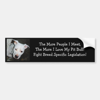 For Simona bumper sticker 2