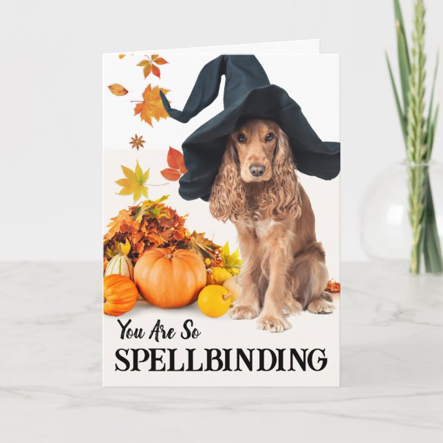 For Spellbinding Boyfriend Halloween Dog in Hat Card (Front)