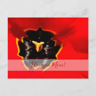 For the best mummy in the world! postcard