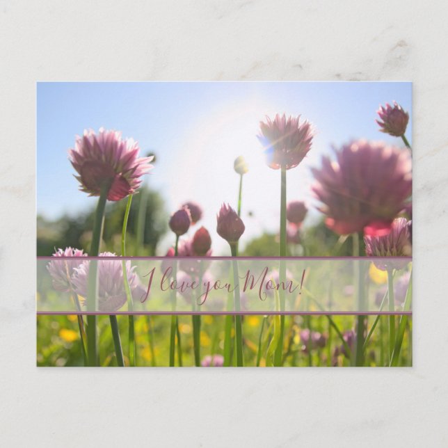 For the best mummy in the world! postcard (Front)