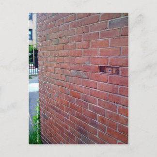 for the love of god, montresor! postcard