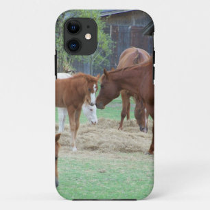For the Love of Horses Case-Mate iPhone Case