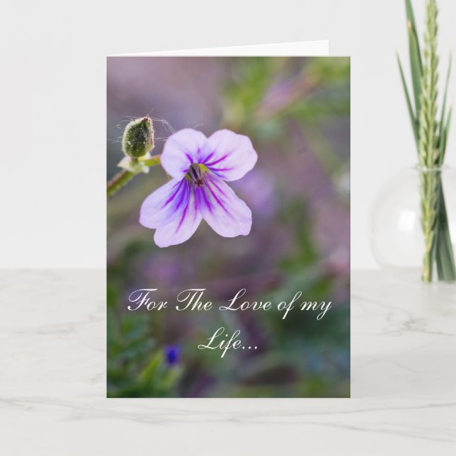 For The Love of my Life Holiday Card (Front)