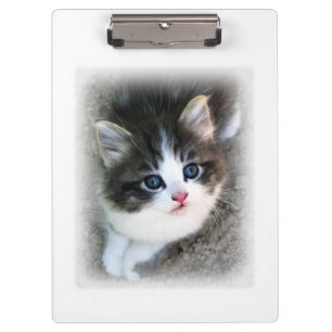 For The Love of Stray Cats Clipboard