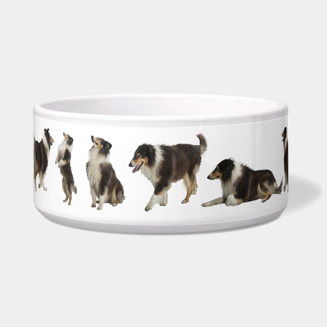 For the Sweet Tri Rough Collie, a Large Pet Bowl (Left)