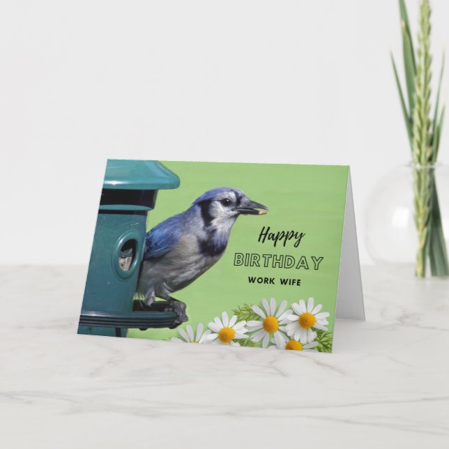 For Work Wife Birthday with Blue Jay at Feeder Card (Front)