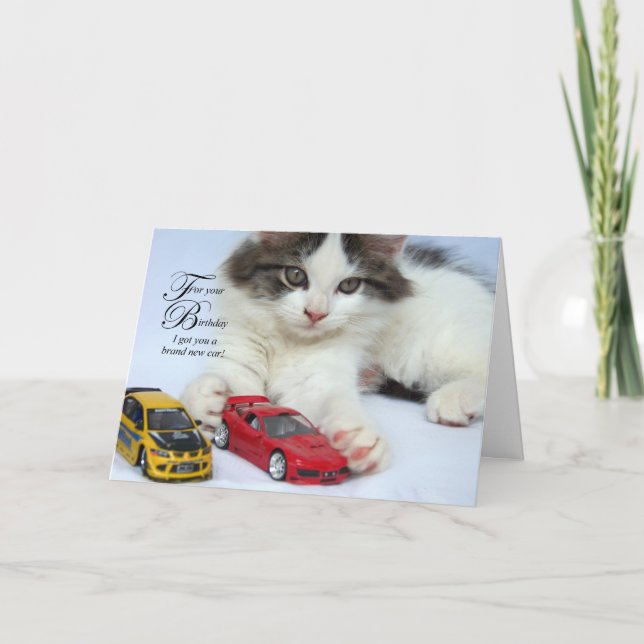 For Your Birthday (Cat) Cards (Front)