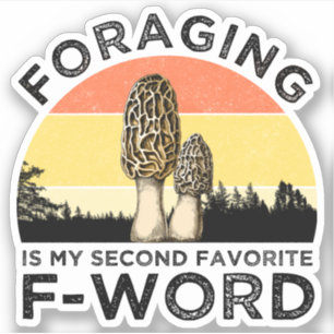 Foraging Is My Second Favourite F-Word (Morels)