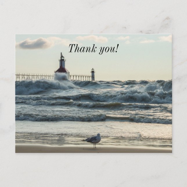 Force Behind Beauty Postcard (Front)