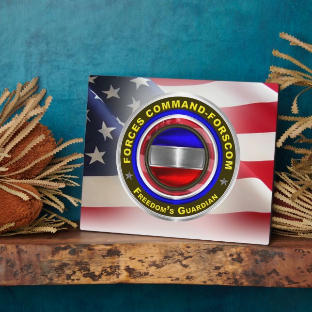 Forces Command FORSCOM  Plaque (Side)