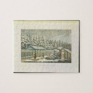 Forcing Garden in Winter, from Fragments on the Th Jigsaw Puzzle