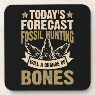 Forecast Fossil Hunting Will A Chance Of Bones Coaster