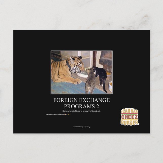Foreign Exchange Programs 2 Postcard (Front)