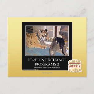 Foreign Exchange Programs 2 Postcard