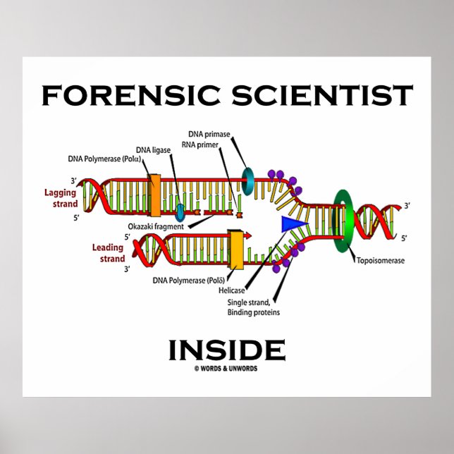 Forensic Scientist Inside (DNA Replication) Poster (Front)