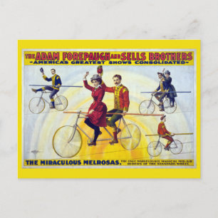 Forepaugh & Sells Brothers Vintage Circus Poster Postcard